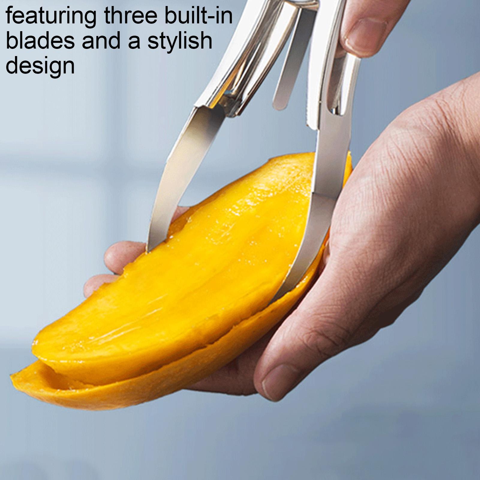 Mango Slicer DIY Ergonomic Rus – Mango Splitter Tool Bewertung und Preis