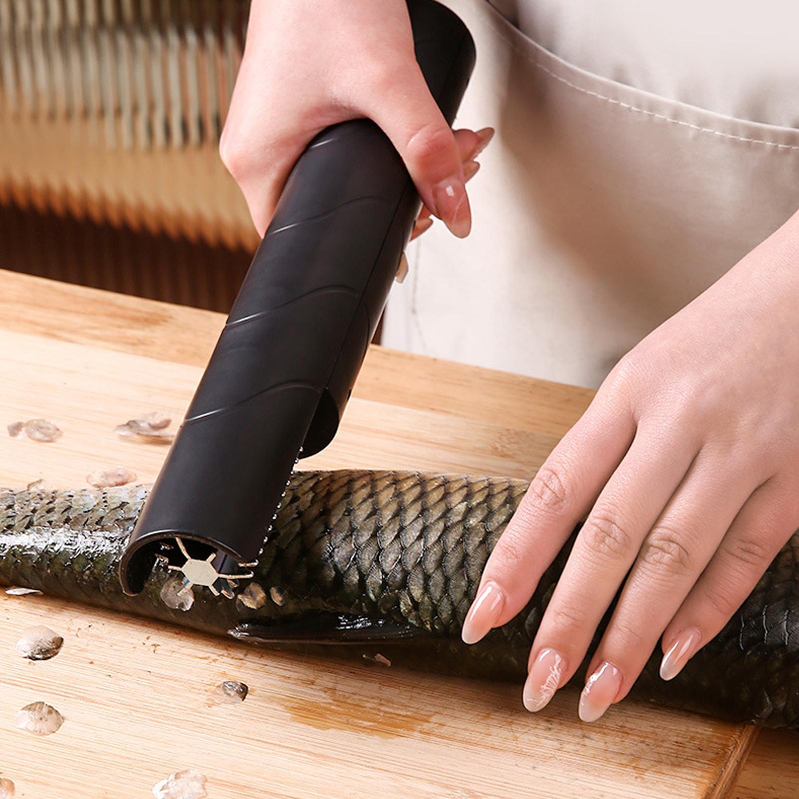 Fish Scaler Cordless Handheld  – Meal Prep Restaurant Bewertung und Preis