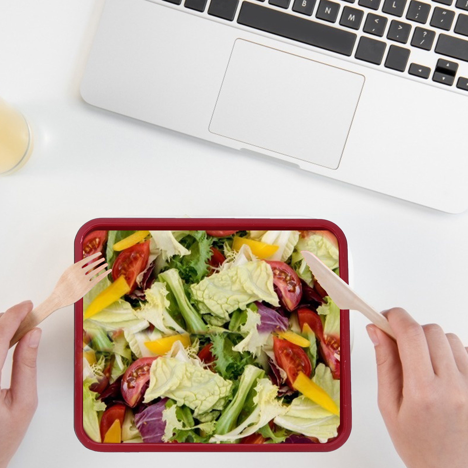Acrylic Bento Box Food Contain – Meal Prep Healthy Lunch Bewertung und Preis