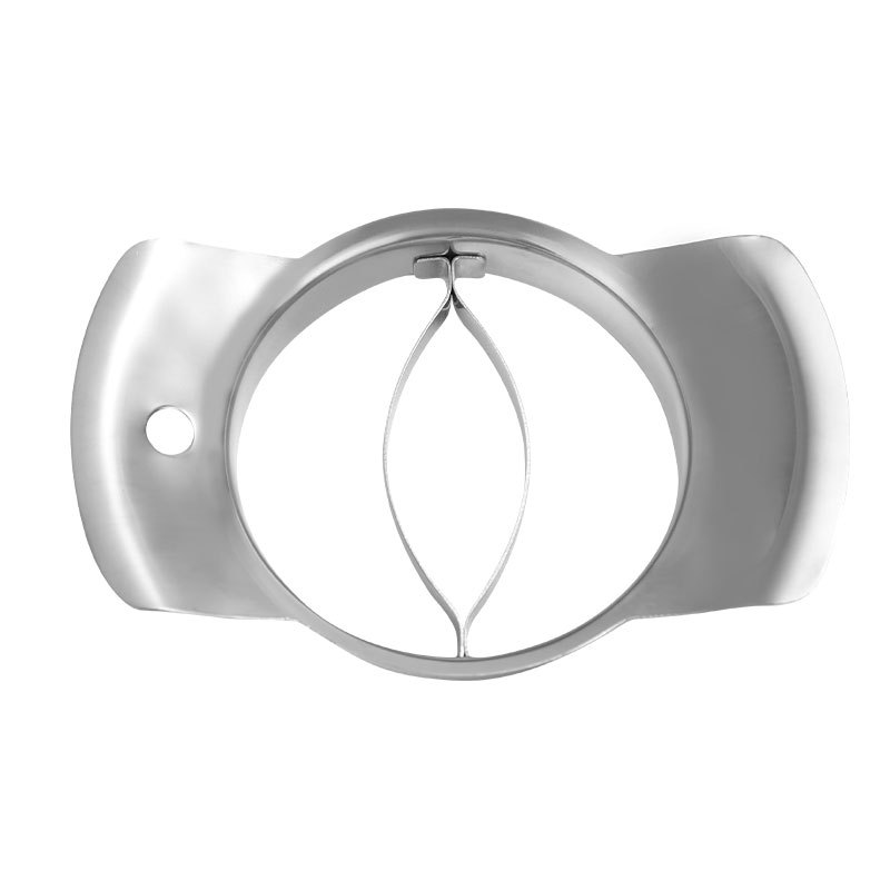 304 Stainless Steel Mango Core – Mango Splitter Tool Bewertung und Preis